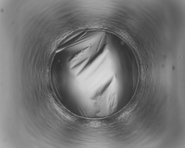 X0000054440441200508191615