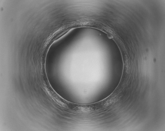 X0000054440442200508191615