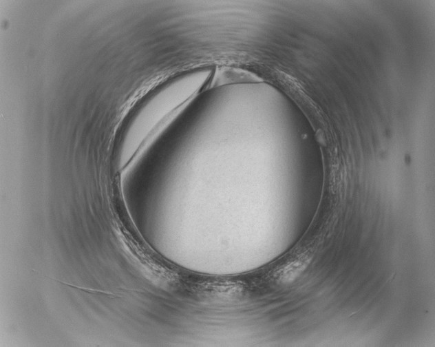 X0000054440443200508191615