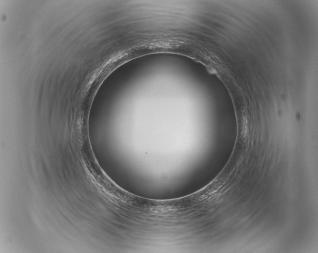 X0000054440444200508191615