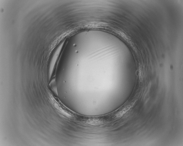 X0000054440445200508191615