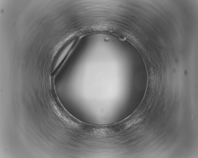 X0000054440446200508191615