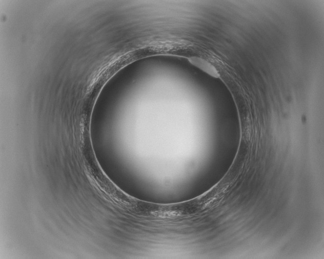 X0000054440448200508191615