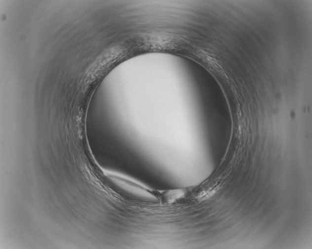 X0000054440450200508191615