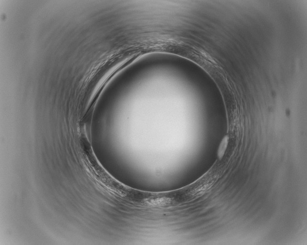 X0000054440452200508191615