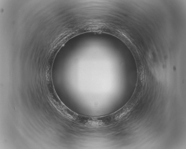 X0000054440455200508191615