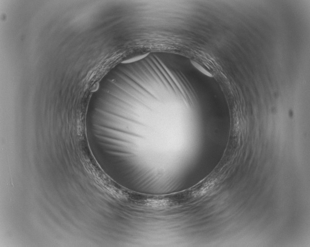 X0000054440457200508191615