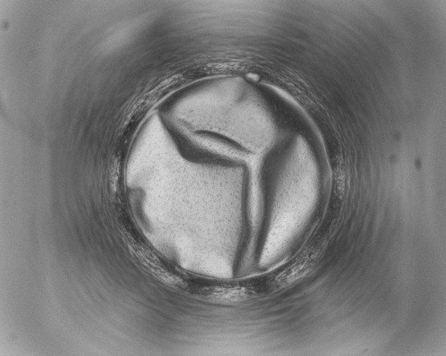 X0000054440458200508191615