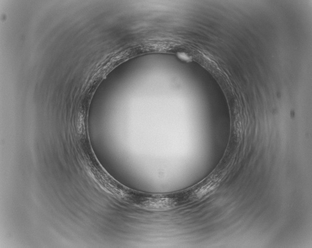 X0000054440459200508191615