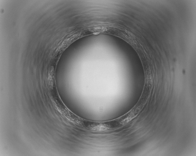 X0000054440460200508191615