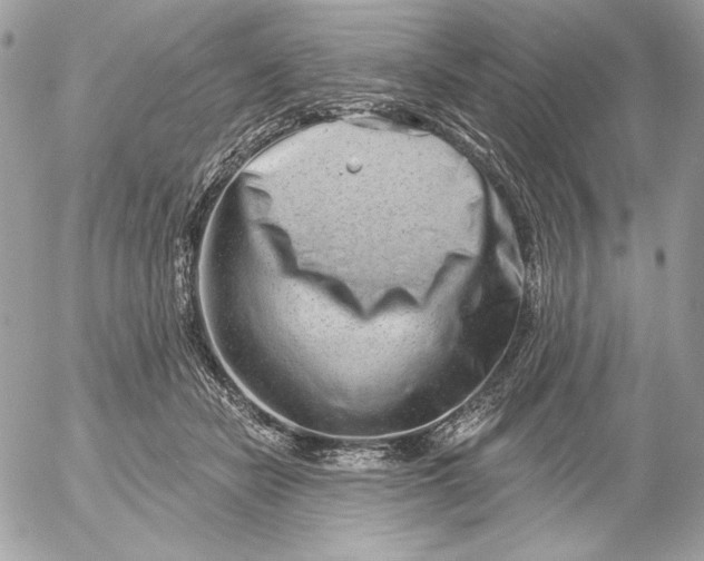 X0000054440462200508191616