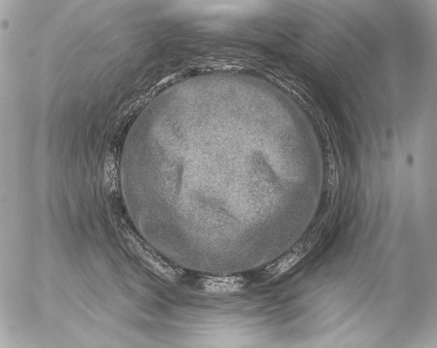 X0000054440465200508191616