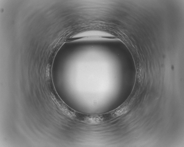 X0000054440466200508191616