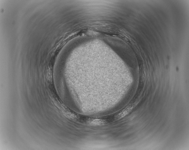 X0000054440467200508191616