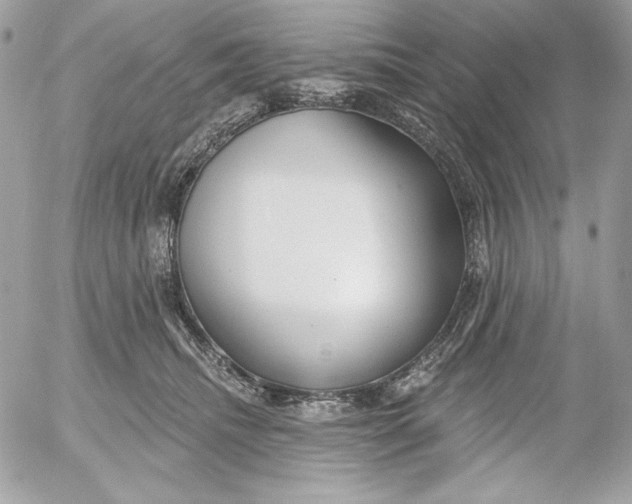 X0000054440468200508191616