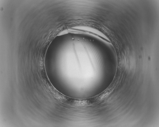 X0000054440469200508191616