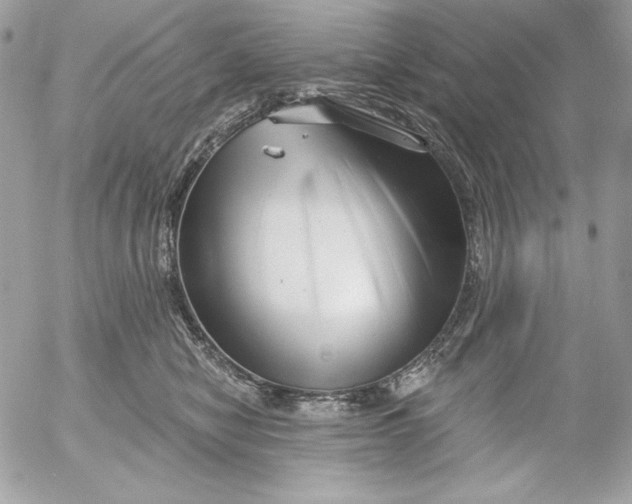 X0000054440470200508191616