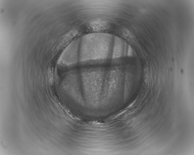 X0000054440471200508191616