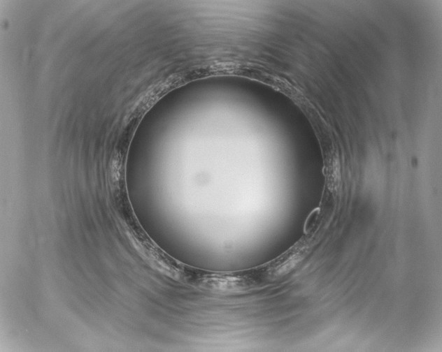 X0000054440472200508191616