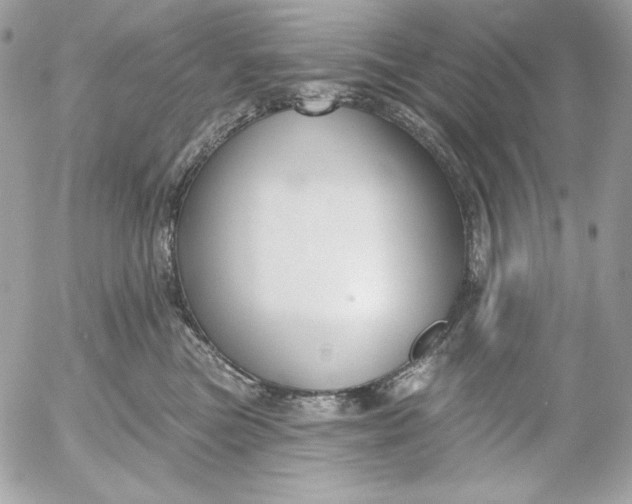 X0000054440473200508191616