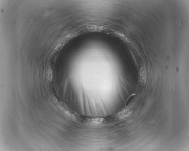 X0000054440474200508191616