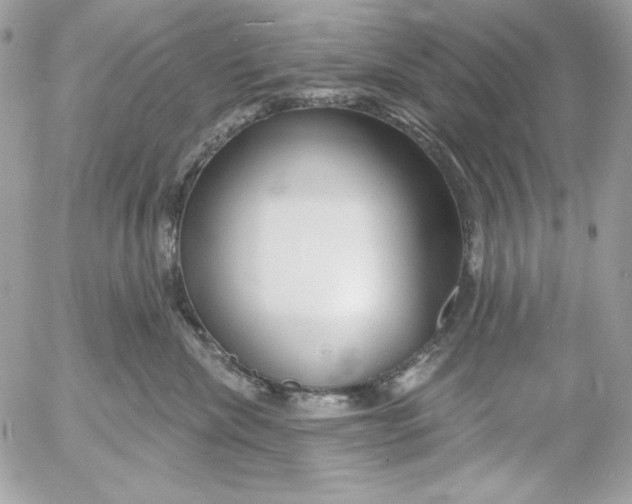 X0000054440476200508191616