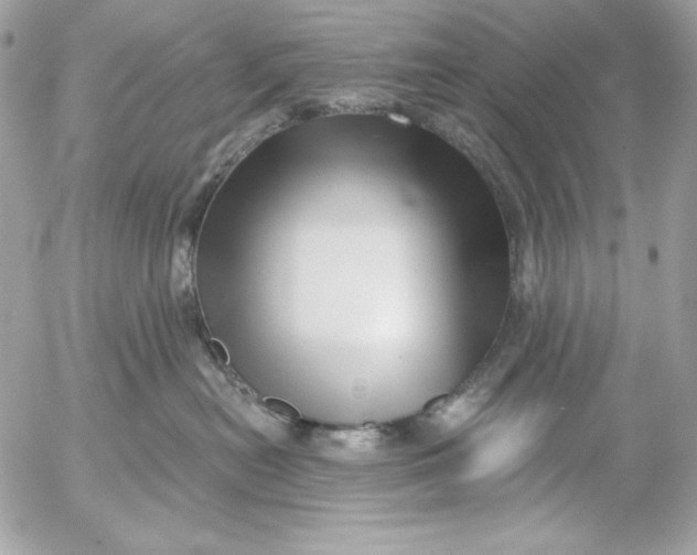 X0000054440478200508191616