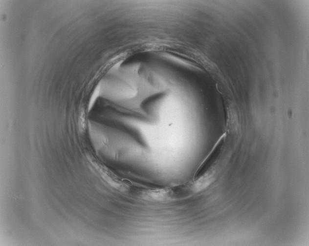 X0000054440479200508191616