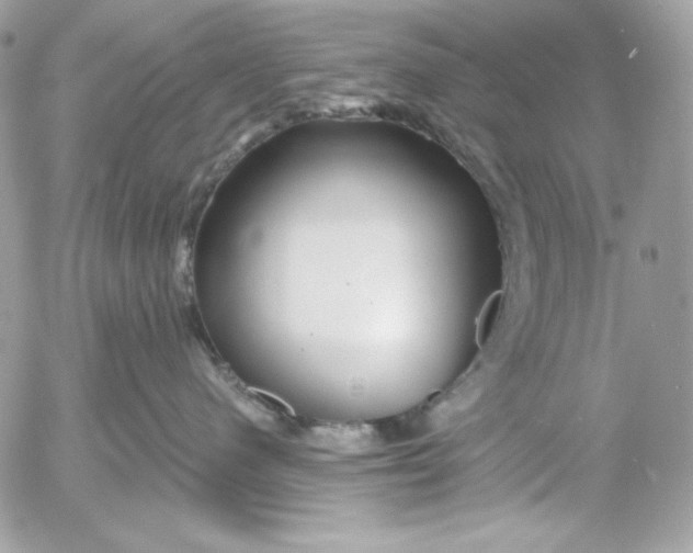 X0000054440480200508191616