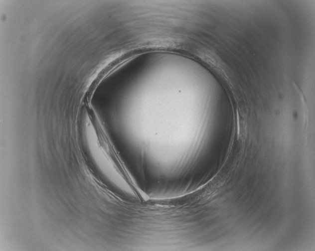 X0000054440483200508191615