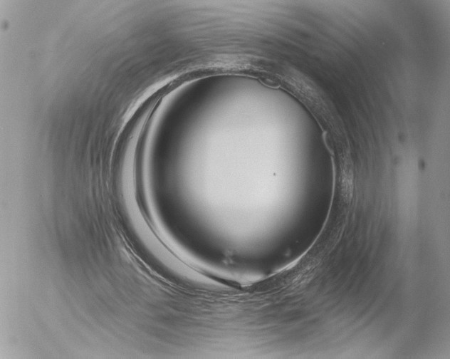 X0000054440484200508191615