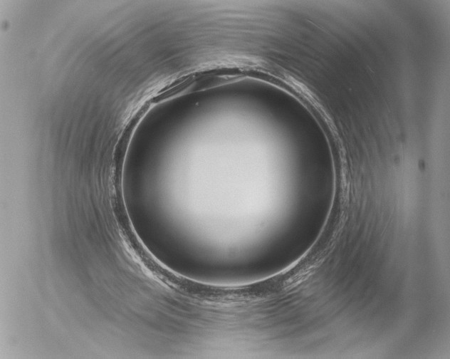 X0000054440485200508191615