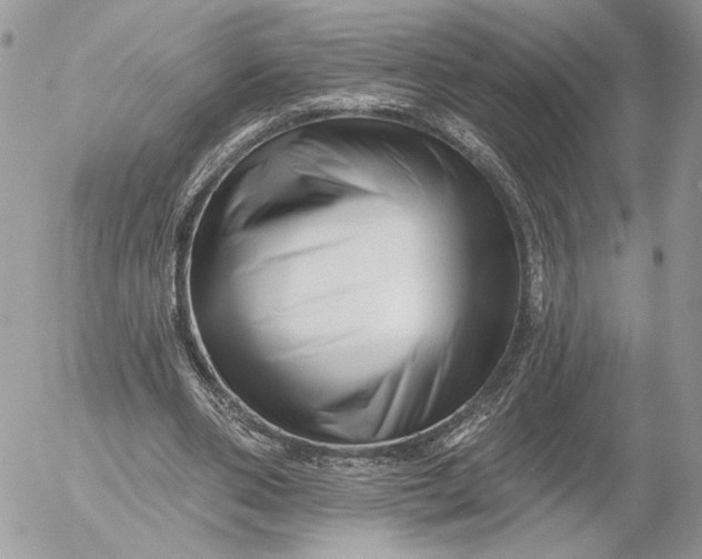 X0000054440486200508191615