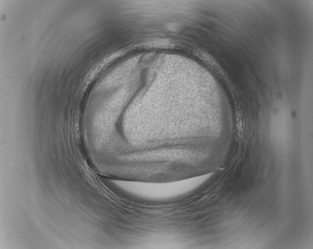 X0000054440487200508191615