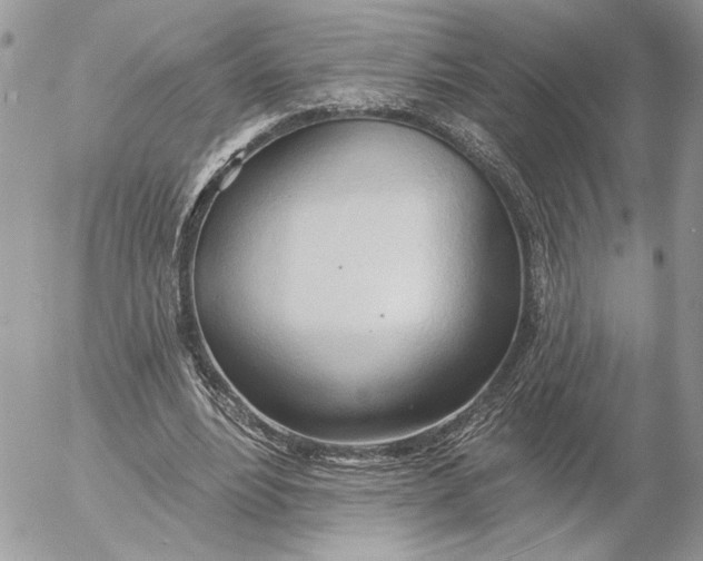 X0000054440488200508191615