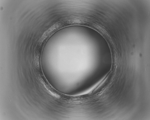 X0000054440489200508191615