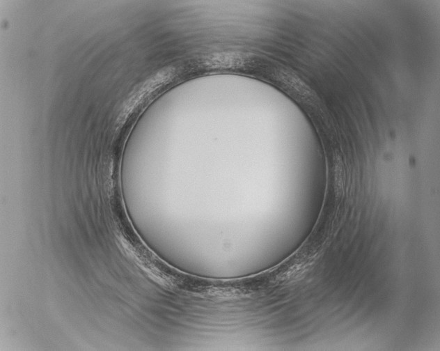 X0000054440490200508191615