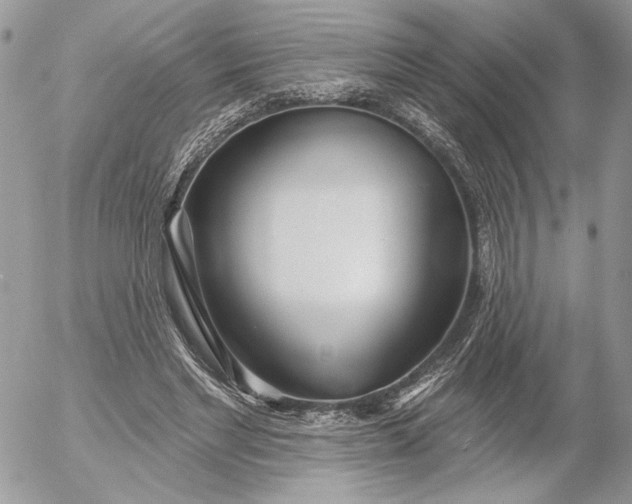 X0000054440493200508191615