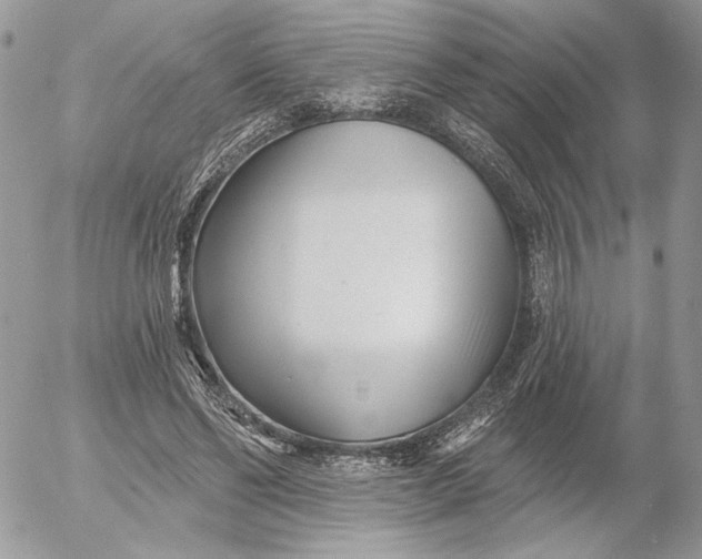 X0000054440494200508191615