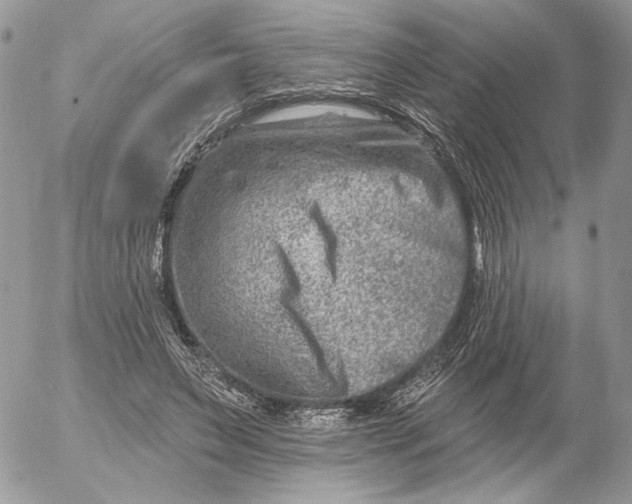 X0000054440495200508191615