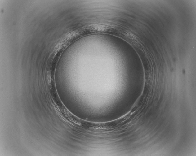 X0000054440500200508191615