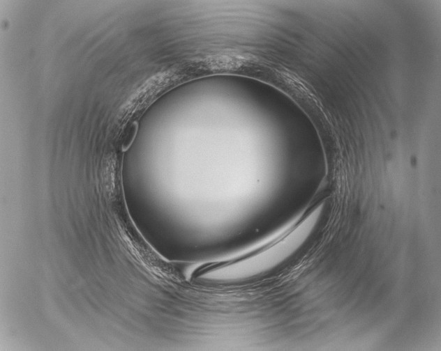 X0000054440501200508191615