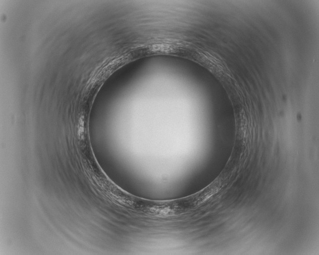 X0000054440502200508191615