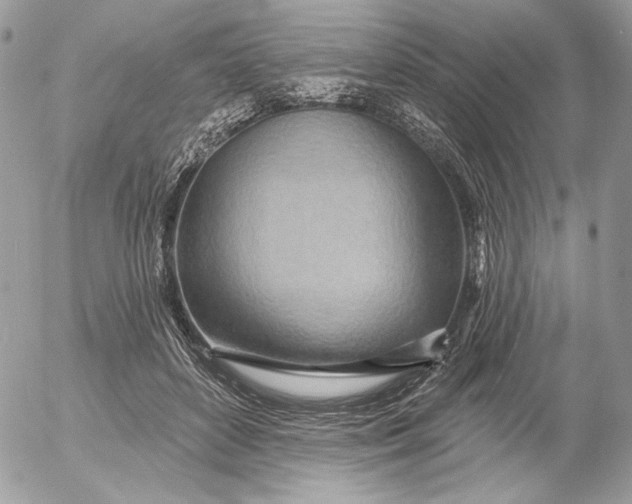 X0000054440504200508191615