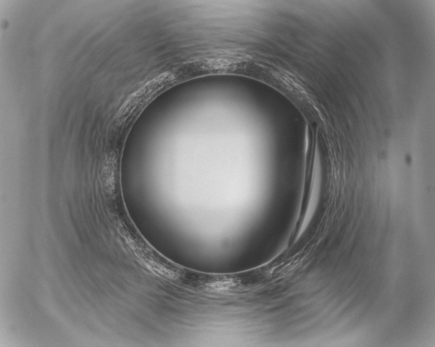 X0000054440505200508191615