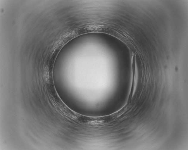 X0000054440508200508191615