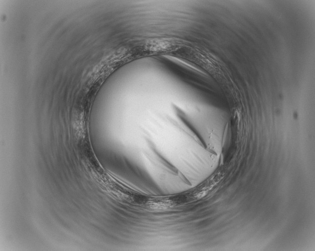 X0000054440510200508191615