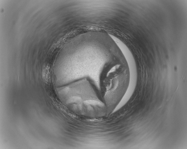 X0000054440511200508191615