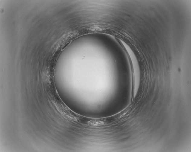 X0000054440512200508191614