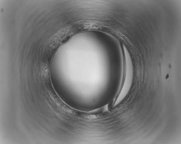 X0000054440513200508191614